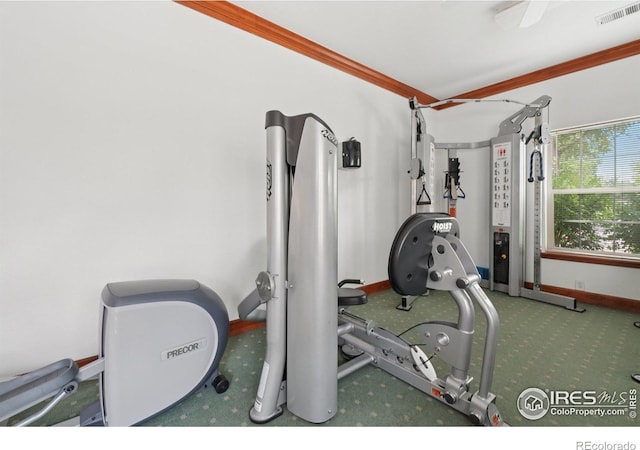 5620 Fossil Creek Pkwy Unit 6303, Fort Collins, CO 80525 - exercise area featuring carpet flooring and baseboards