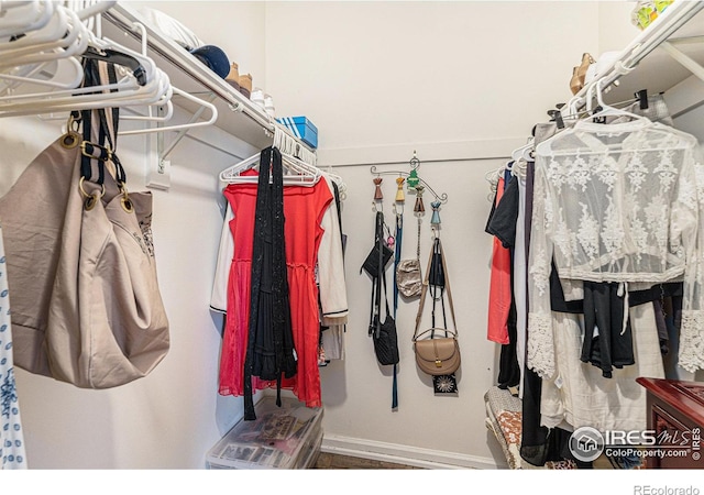 7250 Eastmoor Dr, Denver, CO 80237 - view of walk in closet