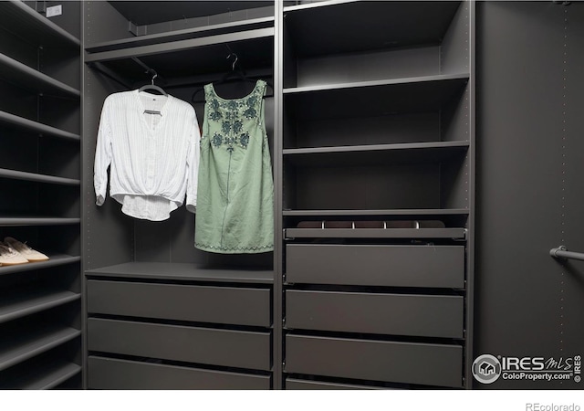 7850 Raleigh Pl, Westminster, CO 80030 - view of walk in closet