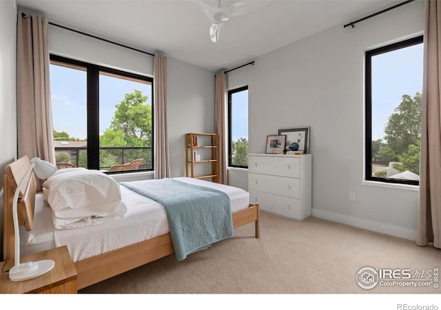 2718 Pine St Unit 301, Boulder, CO 80302 - bedroom featuring carpet and multiple windows