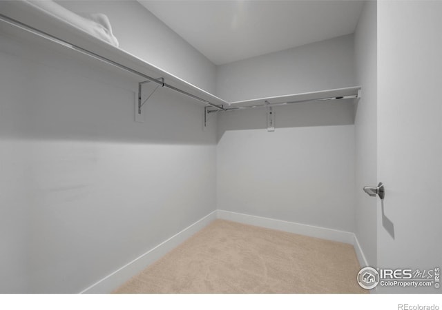 2718 Pine St Unit 301, Boulder, CO 80302 - walk in closet with carpet floors