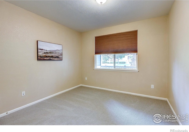 2131 Grays Peak Dr Unit 102, Loveland, CO 80538 - carpeted empty room with baseboards