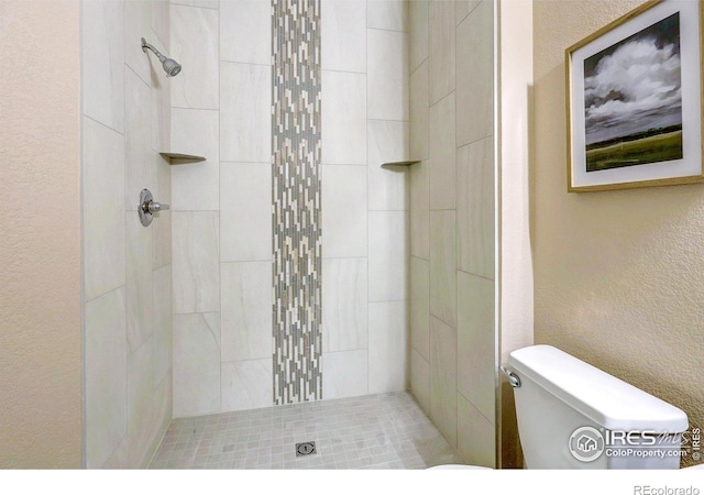 2131 Grays Peak Dr Unit 102, Loveland, CO 80538 - bathroom with a shower stall and a textured wall