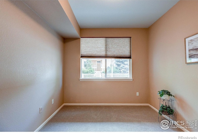 2131 Grays Peak Dr Unit 102, Loveland, CO 80538 - carpeted spare room featuring baseboards