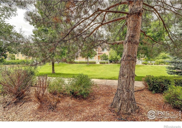 2131 Grays Peak Dr Unit 102, Loveland, CO 80538 - view of grassy yard