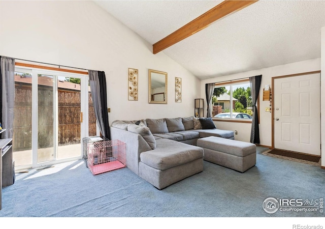 1200-1202 Parker Dr, Longmont, CO 80501 - carpeted living room featuring a textured ceiling