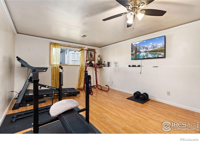 1200-1202 Parker Dr, Longmont, CO 80501 - workout area featuring wood finished floors, crown molding, and a ceiling fan