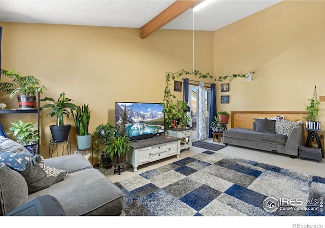 1200-1202 Parker Dr, Longmont, CO 80501 - carpeted living room featuring beam ceiling
