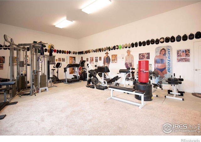 18441 Bandana Ln, Wellington, CO 80549 - view of gym