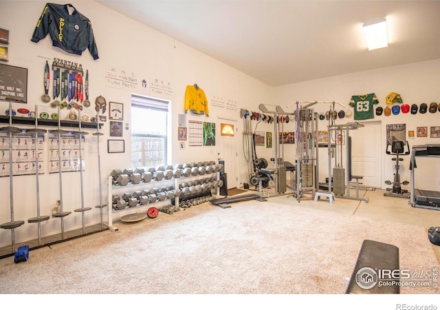 18441 Bandana Ln, Wellington, CO 80549 - view of workout room