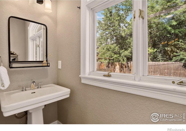 1509 Pratt St, Longmont, CO 80501 - photo 11