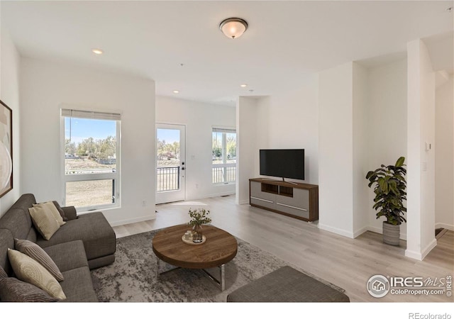 919 Schlagel St Unit 3, Fort Collins, CO 80524 - living room featuring light wood finished floors and recessed lighting