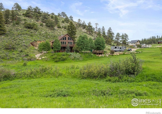 228 Mount Everest Dr, Livermore, CO 80536 - view of yard