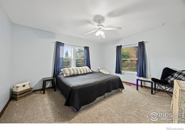 228 Mount Everest Dr, Livermore, CO 80536 - bedroom with multiple windows, carpet floors, and ceiling fan