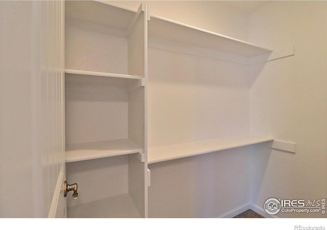 4327 Primrose Ln, Evans, CO 80620 - view of walk in closet