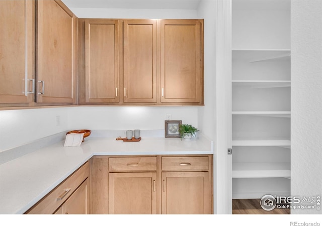 900 Eldorado Ln, Louisville, CO 80027 - kitchen with light countertops and open shelves
