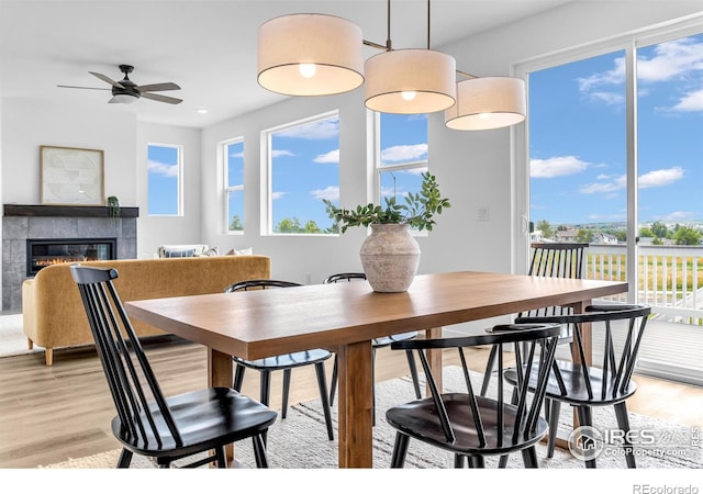 900 Eldorado Ln, Louisville, CO 80027 - dining area featuring light wood-style floors, healthy amount of natural light, a fireplace, and ceiling fan