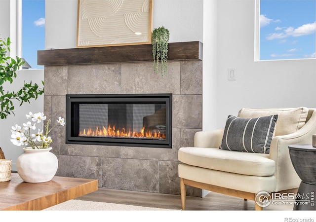 900 Eldorado Ln, Louisville, CO 80027 - detailed view of a fireplace and wood finished floors