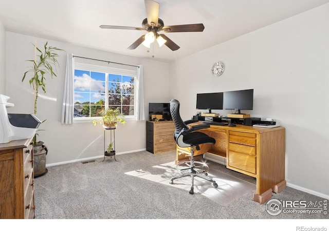 320 Windflower Way, Severance, CO 80550 - photo 19