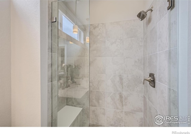 919 Schlagel St Unit 8, Fort Collins, CO 80524 - bathroom with a tile shower