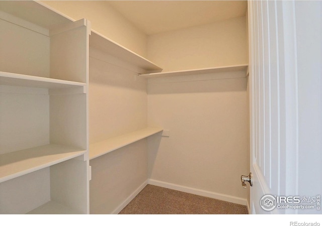 4319 Primrose Ln, Evans, CO 80620 - spacious closet with carpet