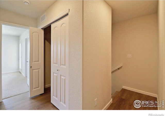 4319 Primrose Ln, Evans, CO 80620 - hallway with wood finished floors and baseboards