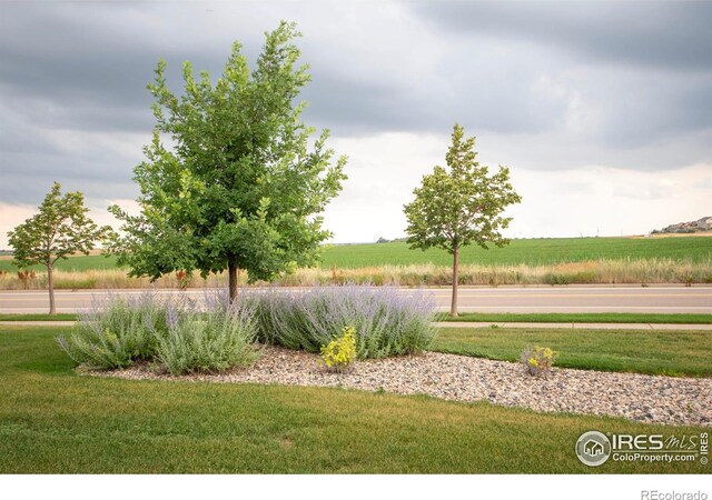 2421 Sunbury Ln, Fort Collins, CO 80524 - photo 28