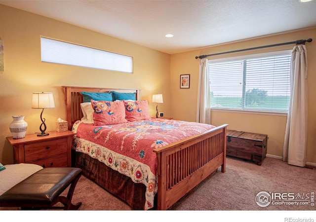 2421 Sunbury Ln, Fort Collins, CO 80524 - photo 13