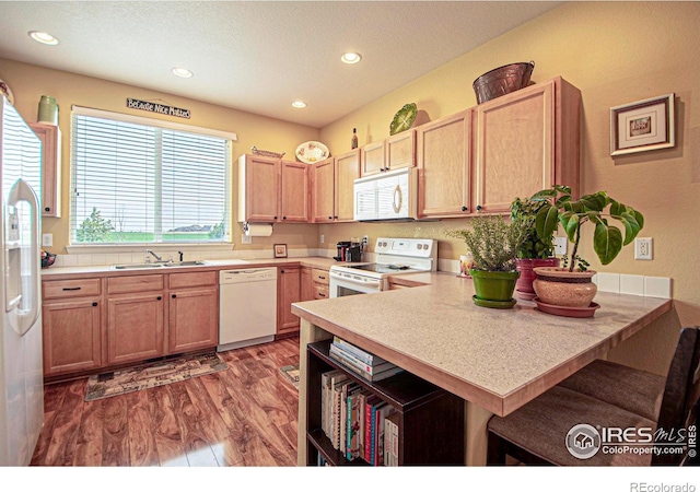 2421 Sunbury Ln, Fort Collins, CO 80524 - photo 7