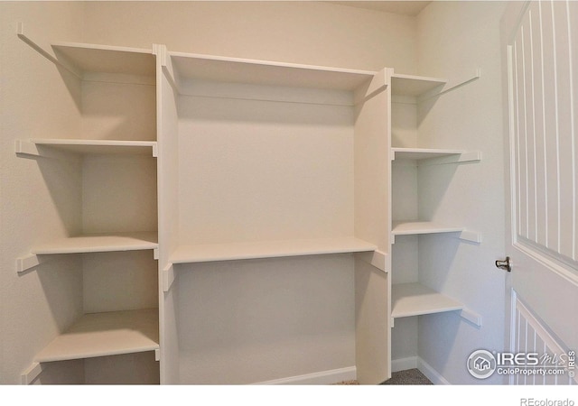4315 Primrose Ln, Evans, CO 80620 - view of spacious closet
