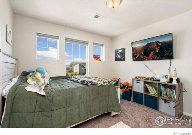 5259 Odessa Lake St, Timnath, CO 80547 - photo 24