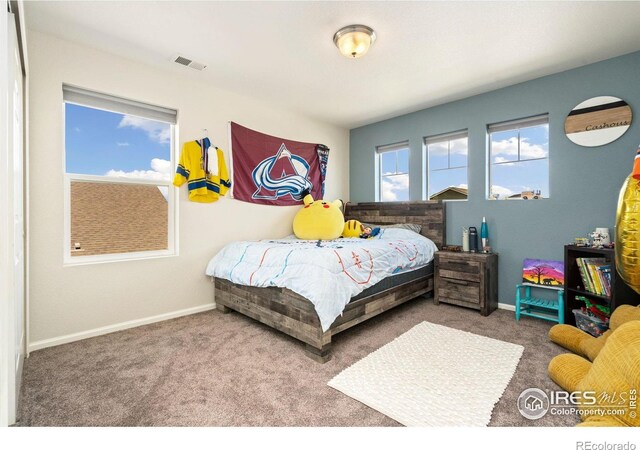 5259 Odessa Lake St, Timnath, CO 80547 - photo 25