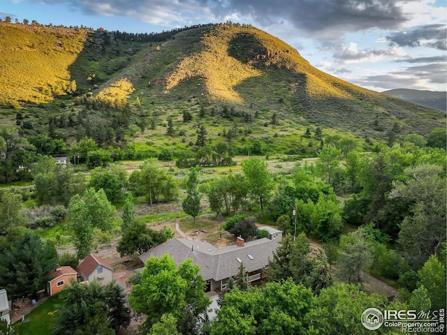 31820 S Saint Vrain Dr, Lyons, CO 80540 - photo 35