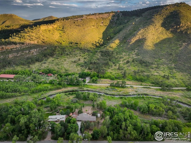 31820 S Saint Vrain Dr, Lyons, CO 80540 - photo 37