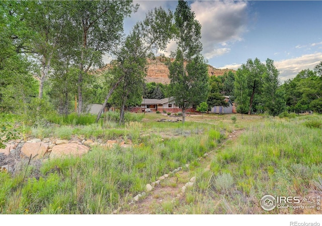 31820 S Saint Vrain Dr, Lyons, CO 80540 - photo 38