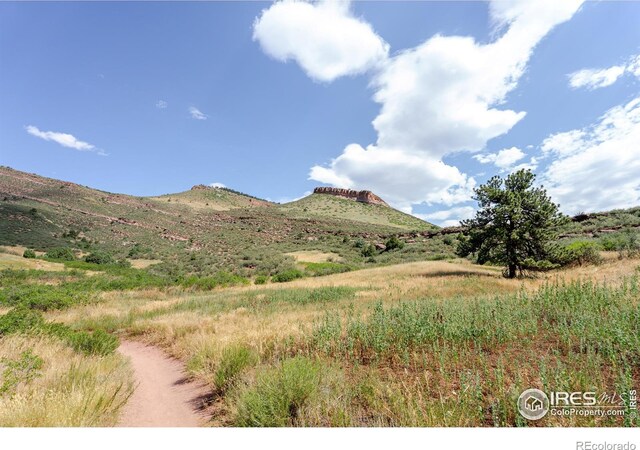 31820 S Saint Vrain Dr, Lyons, CO 80540 - photo 40
