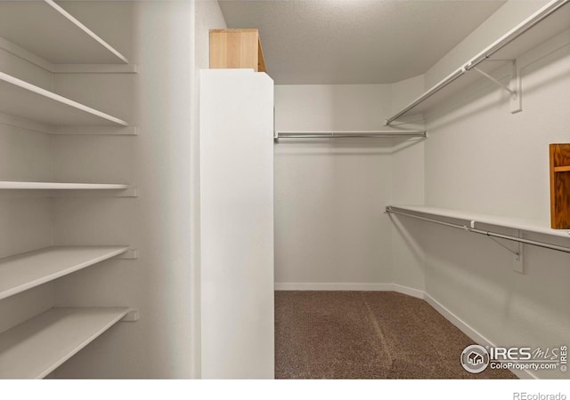 2968 Hydra Dr, Loveland, CO 80537 - walk in closet with carpet floors