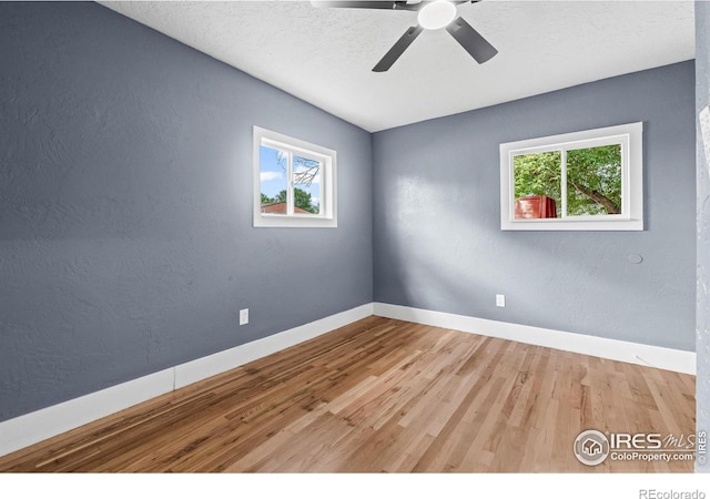 705 Garfield Ave, Loveland, CO 80537 - photo 28