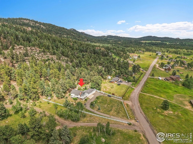 24927 Agate Ave, Conifer, CO 80433 - photo 10