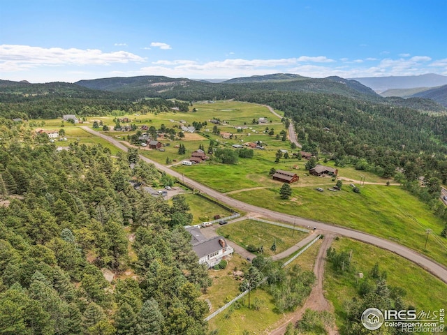 24927 Agate Ave, Conifer, CO 80433 - photo 11
