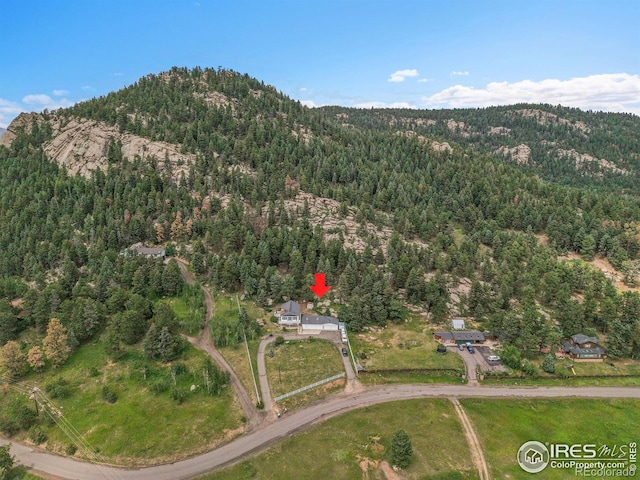 24927 Agate Ave, Conifer, CO 80433 - photo 14