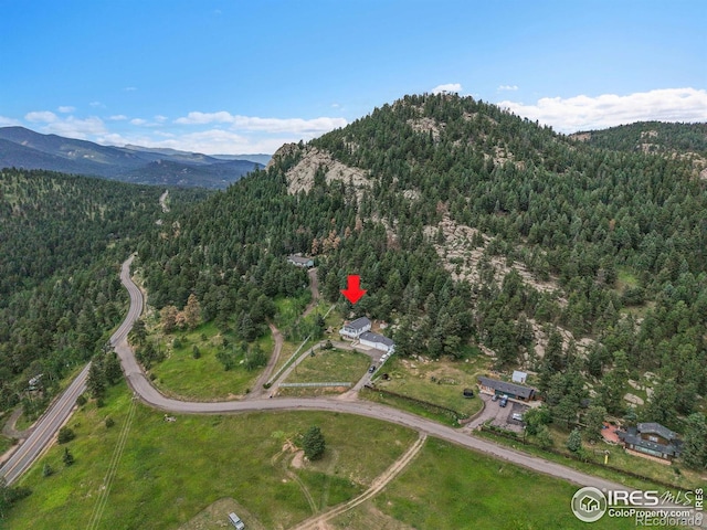 24927 Agate Ave, Conifer, CO 80433 - photo 16