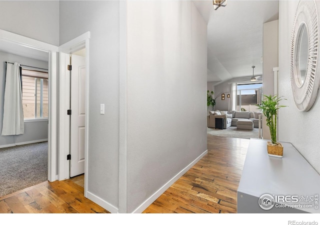 1625 Glacier Ave, Berthoud, CO 80513 - hall with wood finished floors and baseboards