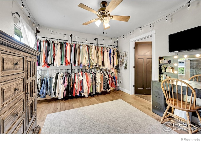 1115 Kestrel Rd, Eaton, CO 80615 - spacious closet featuring ceiling fan and light wood-style flooring