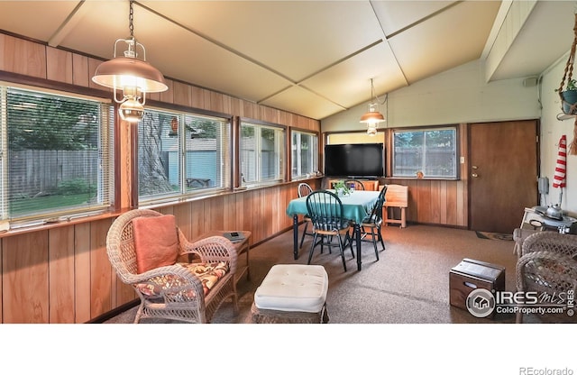 2937 Alamo Ave, Fort Collins, CO 80525 - sunroom / solarium featuring vaulted ceiling