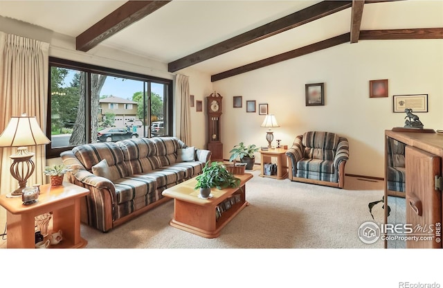 2937 Alamo Ave, Fort Collins, CO 80525 - view of carpeted living area