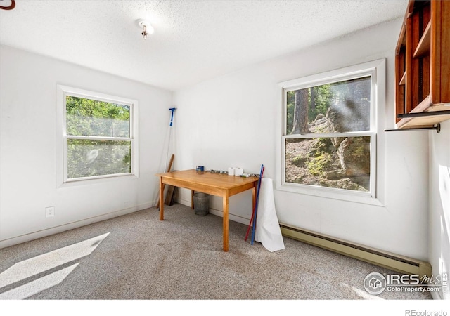 742 Hickory Dr, Lyons, CO 80540 - photo 16