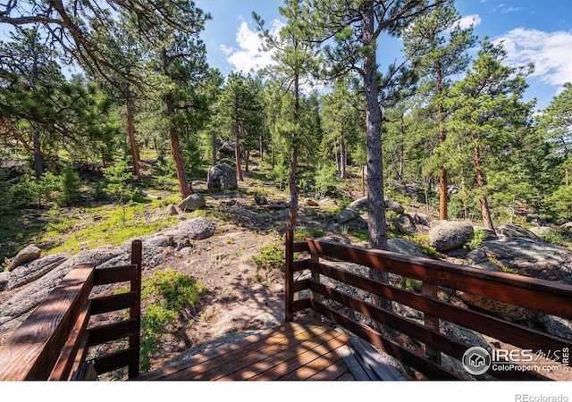 742 Hickory Dr, Lyons, CO 80540 - photo 22