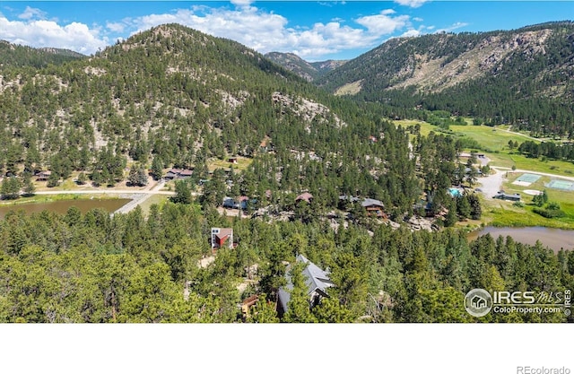 742 Hickory Dr, Lyons, CO 80540 - photo 23