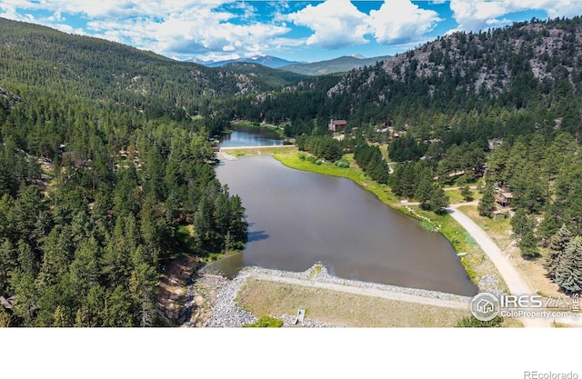742 Hickory Dr, Lyons, CO 80540 - photo 29